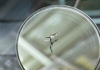 IMG_8054